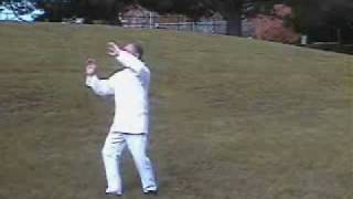 Wu Hao Tai Chi  Master Liu Jishun  武式太極拳 [upl. by Damiano638]