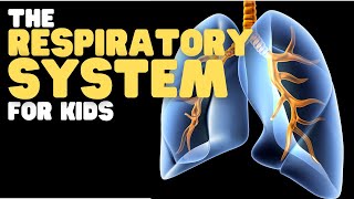 The Respiratory System for Kids [upl. by Lyrahs118]