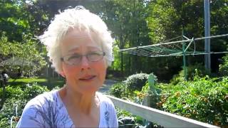 Outdoor Avocado Upate  Wisconsin Garden Video Blog 322 [upl. by Miarhpe437]