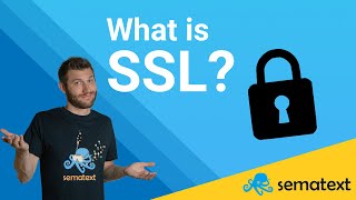 SSLTLS Explained in 7 Minutes [upl. by Tnarb87]