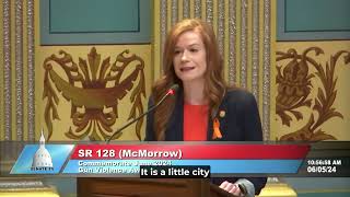 Sen McMorrow in Resolution 128 recognizing Gun Violence Awareness Month [upl. by Anayra]