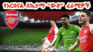 የአርሰናል ስኬታማ quotውድquot ፈራሚዎች [upl. by Enaira]