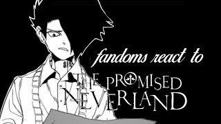 Fandoms React to Ray The promised Neverland WIP [upl. by Etteluap860]