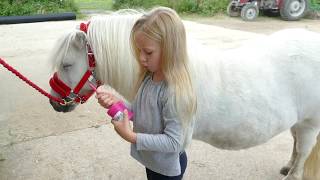 How to groom and look after your Shetland Pony Tutorial with Harlow White Age 5 [upl. by Einoj]