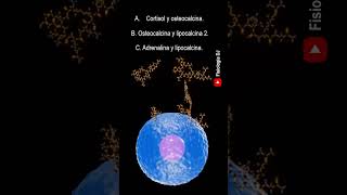 Repasa fisiología Endocrina  Preguntas y respuestas de la fisiología del sistema endocrino [upl. by Osbourne]