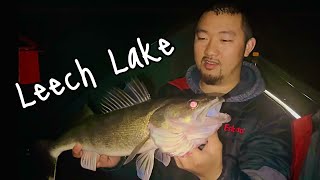 Leech lake Camping 2023 Walleyes Burbot Tullibee [upl. by Arramat]