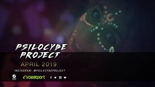 Psilocybe Project April 2019 [upl. by Anaid]