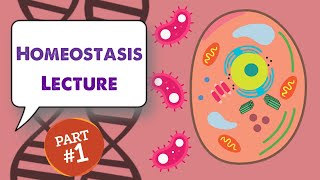 MCAT Biology Lecture Homeostasis 11 [upl. by Nodnol]