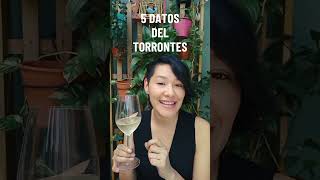 5 DATOS DEL TORRONTES 🍷 vino vinosargentinos winelovers aprendedevino somm [upl. by Caiaphas214]