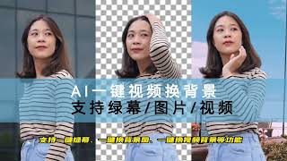 Video Background Remover  AI视频抠像、视频一键换背景软件 本地一键整合包下载 [upl. by Zullo981]