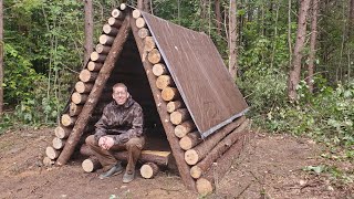 Storm Destroyed the Forest  Building a Bushcraft Shelter amp Camping 3 Days [upl. by Eisserc426]