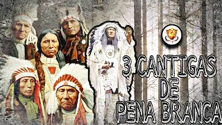 3 CANTIGAS DE CABOCLO PENA BRANCA QUE VAI TE EMOCIONAR CONFIRA [upl. by Aihsot734]