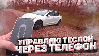 УПРАВЛЯЮ ТЕСЛОЙ Через ТЕЛЕФОН  Tesla model 3 [upl. by Malina251]