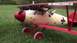 Test PARKZONE Albatros DVa von HORIZON HOBBY [upl. by Ahsinwad517]