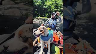 West Branch of the Penobscot River — raging rapids riverside picnics and some 🎣 mainetheway [upl. by Kalmick]