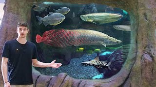 UNREAL MONSTER FISH in 5000G TANK Private Tour [upl. by Hulbert]