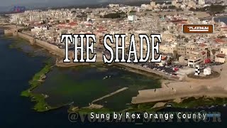 Rex Orange County  THE SHADE  KaraokeLyricsInstrumental [upl. by Atinad]