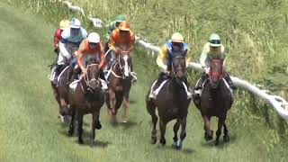 Course 4 PRIX DES BELLES DOUDOUS 280724 [upl. by Nnaassilem]