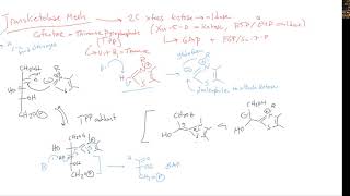 CHEM 407  Pentose Phosphate Pathway  4  Transketolase Mechanism [upl. by Deroo137]