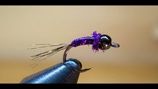 Beginner Fly Tying Purple Paradise Perdigon Euro Nymph Style Fly [upl. by Hahn53]