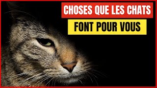 16 choses que vos Chats font pour vous sans que vous ne le sachiez [upl. by Naryb7]