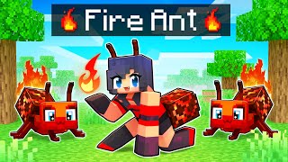 Playing As A FIRE ANT In Minecraft [upl. by Stillas482]