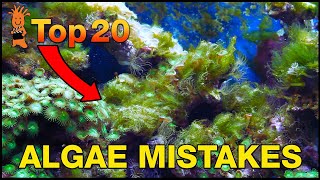 Cant beat algae in your tank This is probably why Top 20 Algae Fighting Mistakes [upl. by Inad]