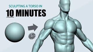 Sculpting a Torso using ZBrush in 10 minutes [upl. by Lledualc418]