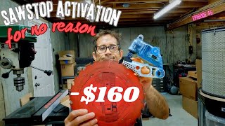 Sawstop Activation Scary and expensive plus a little dust collection work woodworking [upl. by Normi]