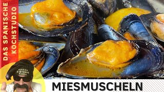 Miesmuscheln aus dem Mittelmeer  Clochinas [upl. by Alliuqahs]