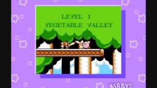 FamiTracker  Vegetable Valley  Kirbys Adventure [upl. by Ysdnyl508]