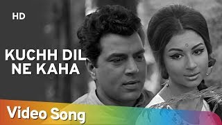 Kuchh Dil Ne Kaha  Dharmendra  Sharmila Tagore  Anupama  Lata  Evergreen Hindi Songs [upl. by Ahsinel]