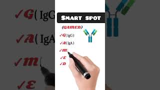 Immunoglobulin  antibodies easy way to learn [upl. by Kleon]