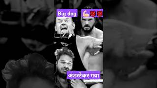 wwe roman रेंज अंडरटेकरandarteker [upl. by Iturk118]