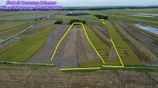 18 HECTARE Irrigated Riceland in Balungao Pangasinan 2 million onlyAerial View [upl. by Ahsinrat352]