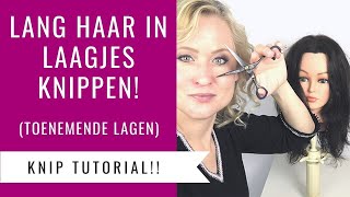 Zo verf je eenvoudig zelf je haar  Haar tutorial  Kruidvat [upl. by Aisiat186]