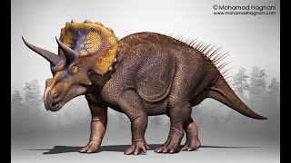 Triceratops horridus 3D Turntable Made with Zbrush [upl. by Epoillac]