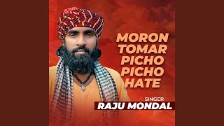 Moron Tomer Pichu Pichu Hate [upl. by Letnohc]