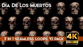 Dia De Los Muertos VJ Loops Pack 1 [upl. by Cochard]