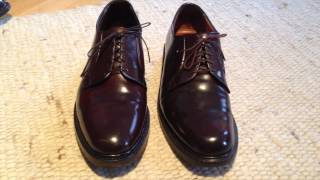 Alden PTB 990 vs Allen Edmonds Leeds Plain Toe Bluchers in Shell Cordovan [upl. by Fatimah]