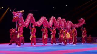 LA DANSE DU DRAGON AU 33EME FESTIVAL DES ARTS MARTIAUX [upl. by Tega854]