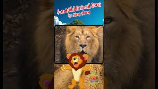 Animal Songs for Little Explorers  Sing along  Fun Songs for Curious Kids [upl. by Mcclimans]