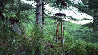 Relaxing Wind Chimes Birds Songs Tropical Forest Atmosphere Sleep Meditation Calm Dream Mind 4k [upl. by Lleunamme]