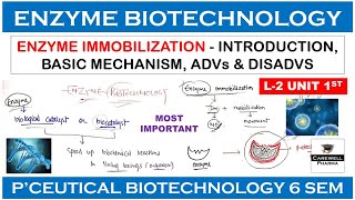 Enzyme Biotechnology  Enzyme Immobilization  L2 U1  Pharmaceutical Biotechnology 6th sem [upl. by Aerdnahs462]