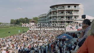 Waregem Koerse 2019 tvtrailer [upl. by Enitsirt]