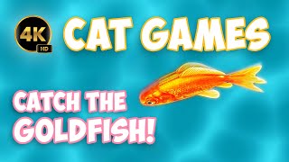 Video for Cats to Watch 🐟 4K Catch the Goldfish 🌟 [upl. by Ignacius]