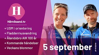 Härnösandtv  5 september 2024 [upl. by Ettenil]