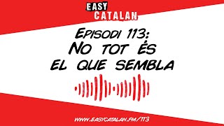 Les maduixes són fruits secs  Easy Catalan Podcast 113 [upl. by Eno]