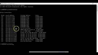 Viewing Active Ports with NETSTAT  COMPTIA Security sy0601 [upl. by Eniamahs]