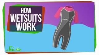 How Do Wetsuits Keep You Warm [upl. by Storer951]